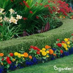 Lavameel Uit Eifel Oergesteente (20Kg Voor 200m2) Organifer 25 Lavameel Uit Eifel Oergesteente (20Kg Voor 200m2) Organifer -Tuinverzorgings Winkel 1200x1200 1904
