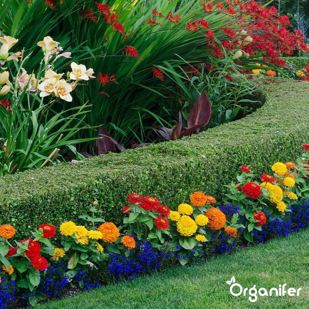 Lavameel Uit Eifel Oergesteente (20Kg Voor 200m2) Organifer 14 Lavameel Uit Eifel Oergesteente (20Kg Voor 200m2) Organifer - Afbeelding 12
