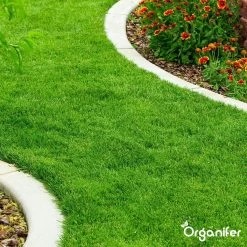 Gazonmest All-In-One (5Kg - Voor 100m2) Voor Een Diepgroen Sterk Gazon Zonder Mos En Onkruid - Complete Meststof Met Kalk En Grasversterker - Organifer 27 Gazonmest All-In-One (5Kg - Voor 100m2) Voor Een Diepgroen Sterk Gazon Zonder Mos En Onkruid - Complete Meststof Met Kalk En Grasversterker - Organifer -Tuinverzorgings Winkel 1200x1200 1915