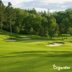 Gazonmest All-In-One (5Kg - Voor 100m2) Voor Een Diepgroen Sterk Gazon Zonder Mos En Onkruid - Complete Meststof Met Kalk En Grasversterker - Organifer 29 Gazonmest All-In-One (5Kg - Voor 100m2) Voor Een Diepgroen Sterk Gazon Zonder Mos En Onkruid - Complete Meststof Met Kalk En Grasversterker - Organifer -Tuinverzorgings Winkel 1200x1200 1917