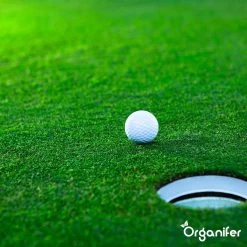 Gazonmest All-In-One (5Kg - Voor 100m2) Voor Een Diepgroen Sterk Gazon Zonder Mos En Onkruid - Complete Meststof Met Kalk En Grasversterker - Organifer 31 Gazonmest All-In-One (5Kg - Voor 100m2) Voor Een Diepgroen Sterk Gazon Zonder Mos En Onkruid - Complete Meststof Met Kalk En Grasversterker - Organifer -Tuinverzorgings Winkel 1200x1200 1919