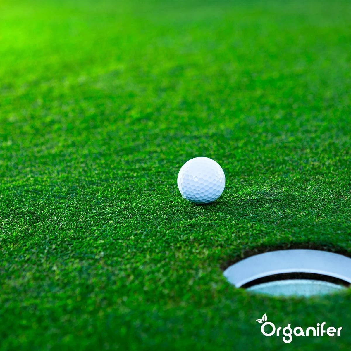 Gazonmest All-In-One (5Kg - Voor 100m2) Voor Een Diepgroen Sterk Gazon Zonder Mos En Onkruid - Complete Meststof Met Kalk En Grasversterker - Organifer 16 Gazonmest All-In-One (5Kg - Voor 100m2) Voor Een Diepgroen Sterk Gazon Zonder Mos En Onkruid - Complete Meststof Met Kalk En Grasversterker - Organifer - Afbeelding 14