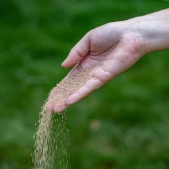 ECOstyle AZ Kalk Micro Korrel – Voor Gazon, Sier- En Moestuin - Corrigeert Zuurgraad Direct En Langdurig - Werkt Tegen Mos - CO2-Neutraal – 30 M² - 2 KG -Tuinverzorgings Winkel 1200x1200 1925