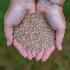 ECOstyle AZ Kalk Micro Korrel – Voor Gazon, Sier- En Moestuin - Corrigeert Zuurgraad Direct En Langdurig - Werkt Tegen Mos - CO2-Neutraal – 30 M² - 2 KG -Tuinverzorgings Winkel 1200x1200 1926