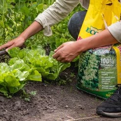ECOStyle Moestuinmest Voor Eetbare Gewassen - Voor Fruit En Moestuin - Rijk Aan Kalium - 120 Dagen Voeding - 80 M² - 8 KG -Tuinverzorgings Winkel 1200x1200 1929