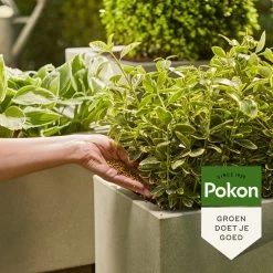 Pokon Voedingskorrels Voor Groene Planten - 800gr - 180 Dagen Voeding - Plantenvoeding 13 Pokon Voedingskorrels Voor Groene Planten - 800gr - 180 Dagen Voeding - Plantenvoeding -Tuinverzorgings Winkel 1200x1200 1937