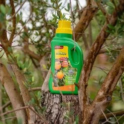 ECOstyle Citrus & Olijf Voeding - Stevige Vrucht - Langdurige Werking - Voor Alle Mediterrane Planten En Bomen 500 ML -Tuinverzorgings Winkel 1200x1200 1961