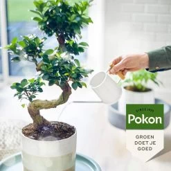 Pokon Bio Bonsai Voeding - 250ml - Plantenvoeding (bio) - 7ml Per 1L Water -Tuinverzorgings Winkel 1200x1200 1963