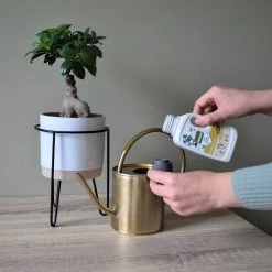 Pokon Bio Bonsai Voeding - 250ml - Plantenvoeding (bio) - 7ml Per 1L Water -Tuinverzorgings Winkel 1200x1200 1964