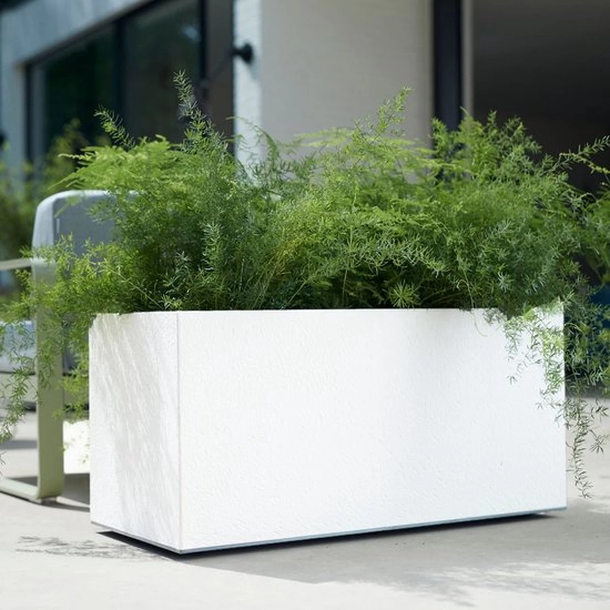 Elho Vivo Matt Finish Lang Wielen 90 - Grote Staande Plantenbak Voor Binnen & Buiten - Gemaakt Van Gereycled Plastic - L 39 X W 88 X H 41 Cm - Wit 9 Elho Vivo Matt Finish Lang Wielen 90 - Grote Staande Plantenbak Voor Binnen & Buiten - Gemaakt Van Gereycled Plastic - L 39 X W 88 X H 41 Cm - Wit - Afbeelding 7