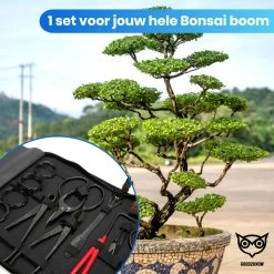 Good2know Bonsai Gereedschap Set – 16 Delig – Bonsai Starters Kit – Bonsai Boompje Verzorgingskit - Tuingereedschap -Tuinverzorgings Winkel 1200x1200 863