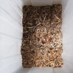 Gardebruk Hakselaar Elektrisch 2800W - 45mm Takdikte - Opvangbak 60 L -Tuinverzorgings Winkel 1200x1200 927