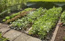 GARDENA Micro Drip System Bloembed En Moestuin Startset Druppelsysteem - 25 Meter 14 GARDENA Micro Drip System Bloembed En Moestuin Startset Druppelsysteem - 25 Meter -Tuinverzorgings Winkel 1200x770 2