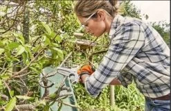 Stihl Accu Mini Kettingzaag SET - Snoeischaar - Snoeizaag - Hand Kettingzaag - Professioneel- Hovenier- Tuinman -Tuinverzorgings Winkel 1200x779 3