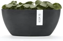 Ecopots | Sofia | Dark Grey | Binnenbloempot | 30 Cm | Ovaal -Tuinverzorgings Winkel 1200x781 4