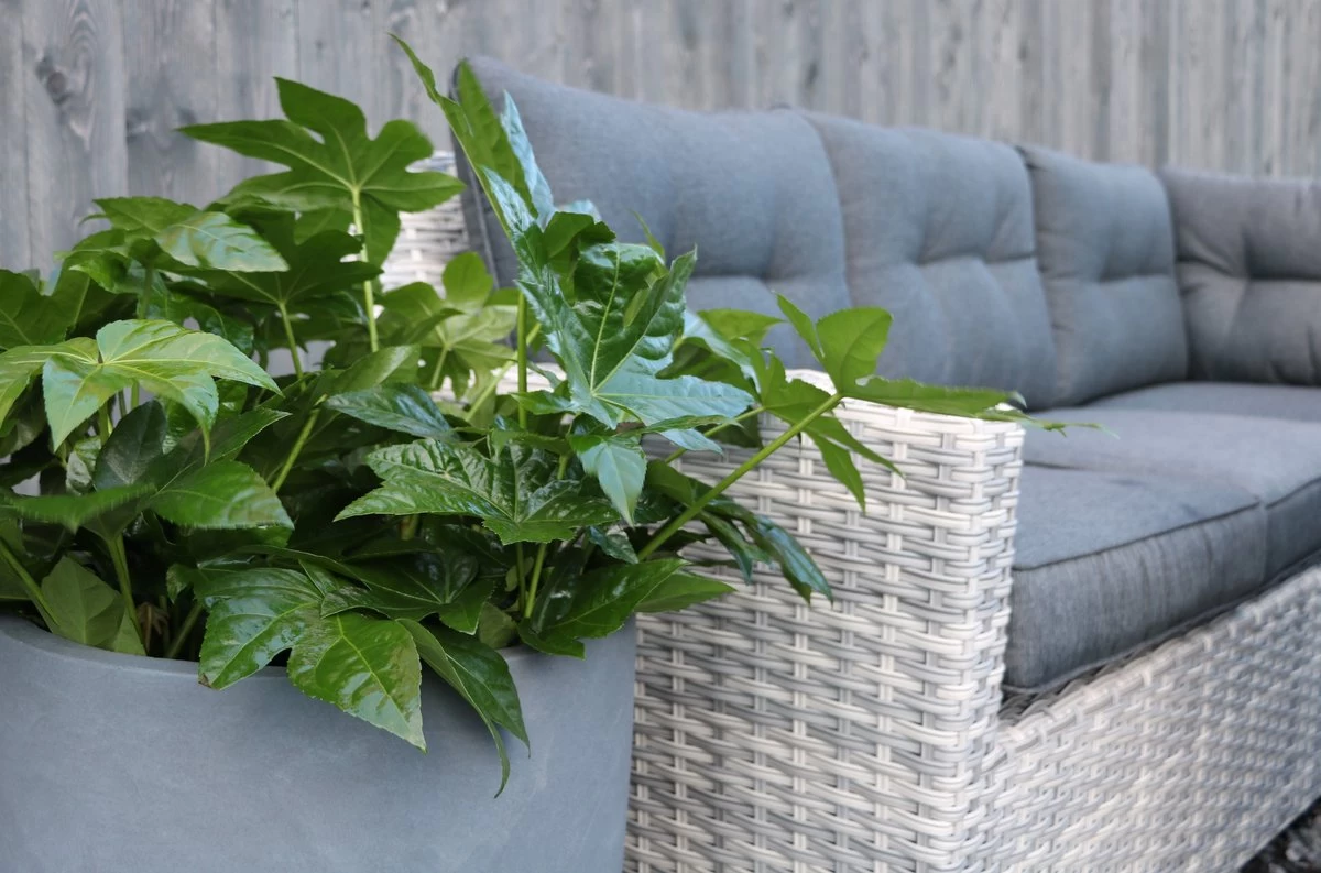 Merkloos Rivièra | Loungeset Hoekset Dining Set Tuinset | Wicker | Hoekbank, Hoge Tuintafel, 2 Hockers | 6 Zitplaatsen 4 Merkloos Rivièra | Loungeset Hoekset Dining Set Tuinset | Wicker | Hoekbank, Hoge Tuintafel, 2 Hockers | 6 Zitplaatsen - Afbeelding 2