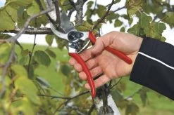 Felco 2 Snoeischaar - Rechtshandig - Max. Knipdiameter 25 Mm - Lengte 215 Mm 22 Felco 2 Snoeischaar - Rechtshandig - Max. Knipdiameter 25 Mm - Lengte 215 Mm -Tuinverzorgings Winkel 1200x796 7