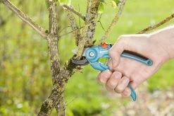 GARDENA Classic Aambeeld Snoeischaar - Ø 18 Mm 9 GARDENA Classic Aambeeld Snoeischaar - Ø 18 Mm -Tuinverzorgings Winkel 1200x799 125