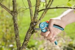 GARDENA Classic Aambeeld Snoeischaar - Ø 18 Mm 11 GARDENA Classic Aambeeld Snoeischaar - Ø 18 Mm -Tuinverzorgings Winkel 1200x799 127