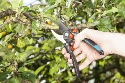 GARDENA - Comfort B/S-XL Bypass - Snoeischaar - Ø 24 Mm - 25 Jaar Garantie 24 GARDENA - Comfort B/S-XL Bypass - Snoeischaar - Ø 24 Mm - 25 Jaar Garantie -Tuinverzorgings Winkel 1200x799 128