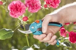 GARDENA - Classic B/S-M Bypass Snoeischaar - Ø 22mm - 25 Jaar Garantie 20 GARDENA - Classic B/S-M Bypass Snoeischaar - Ø 22mm - 25 Jaar Garantie -Tuinverzorgings Winkel 1200x799 131