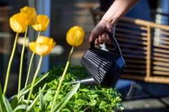 Xala - Gieter Doppio Groove 2L Zwart 7 Xala - Gieter Doppio Groove 2L Zwart -Tuinverzorgings Winkel 1200x799 164