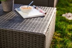 Central Park Hoekbank Loungeset Alea Grijs Staal/riet 3-delig 17 Central Park Hoekbank Loungeset Alea Grijs Staal/riet 3-delig -Tuinverzorgings Winkel 1200x800 153