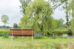 MaximaVida Tuinbank Budapest Oil 170 Cm - Uit Exclusief Mahoniehout 17 MaximaVida Tuinbank Budapest Oil 170 Cm - Uit Exclusief Mahoniehout -Tuinverzorgings Winkel 1200x800 22