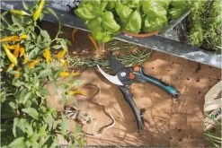 GARDENA - Comfort B/S-XL Bypass - Snoeischaar - Ø 24 Mm - 25 Jaar Garantie 23 GARDENA - Comfort B/S-XL Bypass - Snoeischaar - Ø 24 Mm - 25 Jaar Garantie -Tuinverzorgings Winkel 1200x800 376