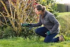 Bosch KEO 18 Accu Tuinzaagmachine - Snijdiameter Van 80 Mm - Met 18 V Accu En Lader 33 Bosch KEO 18 Accu Tuinzaagmachine - Snijdiameter Van 80 Mm - Met 18 V Accu En Lader -Tuinverzorgings Winkel 1200x800 391