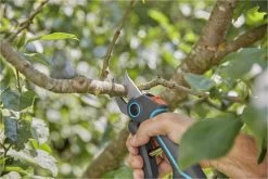 GARDENA AssistCut Snoeischaar- Ø 25mm -Tuinverzorgings Winkel 1200x800 395