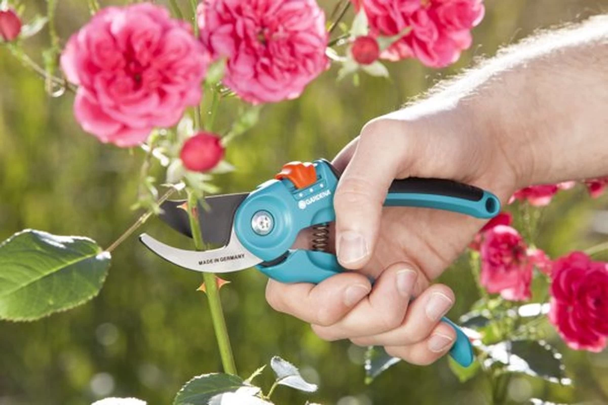 GARDENA - Classic B/S-M Bypass Snoeischaar - Ø 22mm - 25 Jaar Garantie 11 GARDENA - Classic B/S-M Bypass Snoeischaar - Ø 22mm - 25 Jaar Garantie - Afbeelding 9