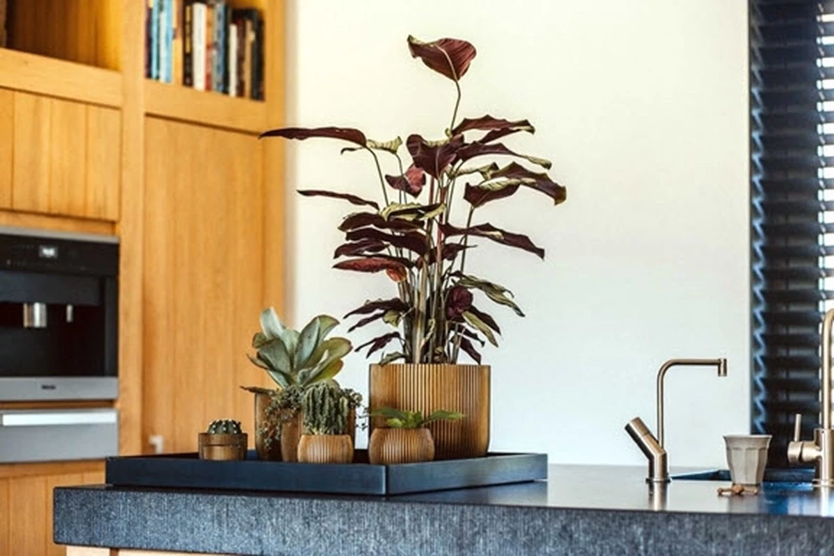 Capi Europe - Bloempot Bol Groove XL - 33x35 - Goud - Bloempot Voor Binnen - Opening ⌀28 - GVGB932 5 Capi Europe - Bloempot Bol Groove XL - 33x35 - Goud - Bloempot Voor Binnen - Opening ⌀28 - GVGB932 - Afbeelding 3