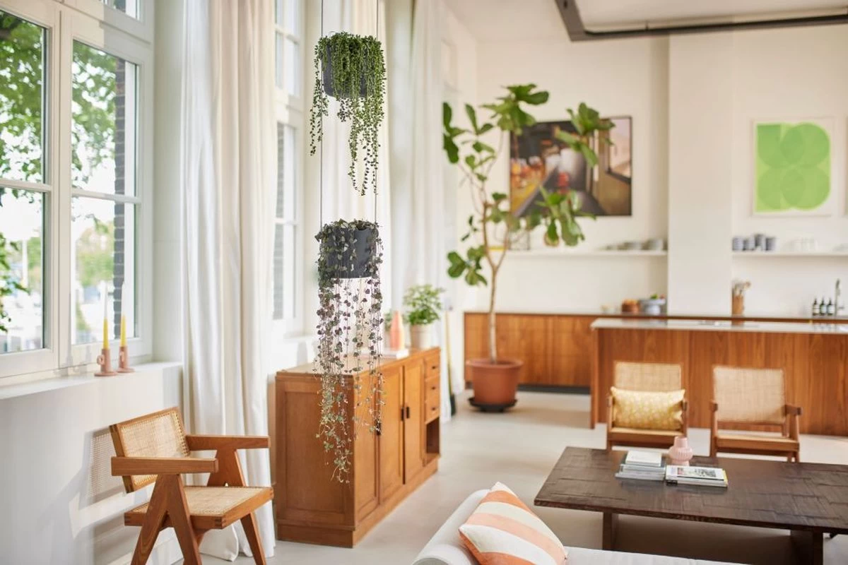 Elho B.for Swing 18 Hangpot - Bloempot Voor Binnen - Ø 18.0 X H 16.5 Cm - Zwart/Antraciet 10 Elho B.for Swing 18 Hangpot - Bloempot Voor Binnen - Ø 18.0 X H 16.5 Cm - Zwart/Antraciet - Afbeelding 8