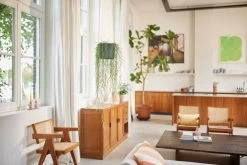 Elho B.for Swing 18 Hangpot - Bloempot Voor Binnen - Ø 18.0 X H 16.5 Cm - Groen/Blad Groen -Tuinverzorgings Winkel 1200x800 499