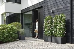 Elho Vivo Next Vierkant 30 - Plantenbak Voor Binnen & Buiten - Ø 29.5 X H 29.5 Cm - Zwart/Living Black 24 Elho Vivo Next Vierkant 30 - Plantenbak Voor Binnen & Buiten - Ø 29.5 X H 29.5 Cm - Zwart/Living Black -Tuinverzorgings Winkel 1200x800 505