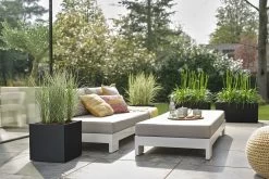 Elho Vivo Next Vierkant 30 - Plantenbak Voor Binnen & Buiten - Ø 29.5 X H 29.5 Cm - Zwart/Living Black 25 Elho Vivo Next Vierkant 30 - Plantenbak Voor Binnen & Buiten - Ø 29.5 X H 29.5 Cm - Zwart/Living Black -Tuinverzorgings Winkel 1200x800 506