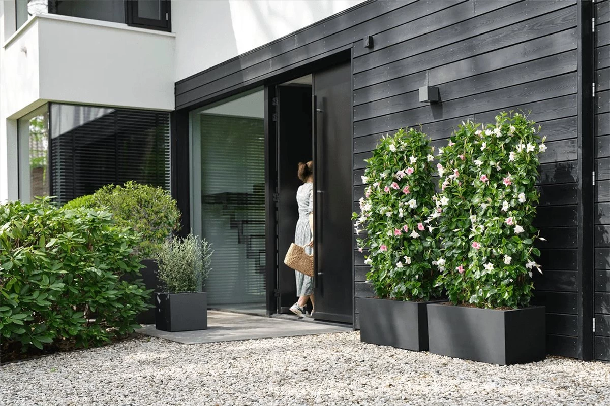 Elho Vivo Next Vierkant 30 - Plantenbak Voor Binnen & Buiten - Ø 29.5 X H 29.5 Cm - Zwart/Living Black 15 Elho Vivo Next Vierkant 30 - Plantenbak Voor Binnen & Buiten - Ø 29.5 X H 29.5 Cm - Zwart/Living Black - Afbeelding 13