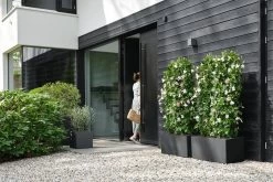 Elho Vivo Next Vierkant 40 - Plantenbak Voor Binnen & Buiten - Ø 39.0 X H 37.9 Cm - Zwart/Living Black 31 Elho Vivo Next Vierkant 40 - Plantenbak Voor Binnen & Buiten - Ø 39.0 X H 37.9 Cm - Zwart/Living Black -Tuinverzorgings Winkel 1200x800 512