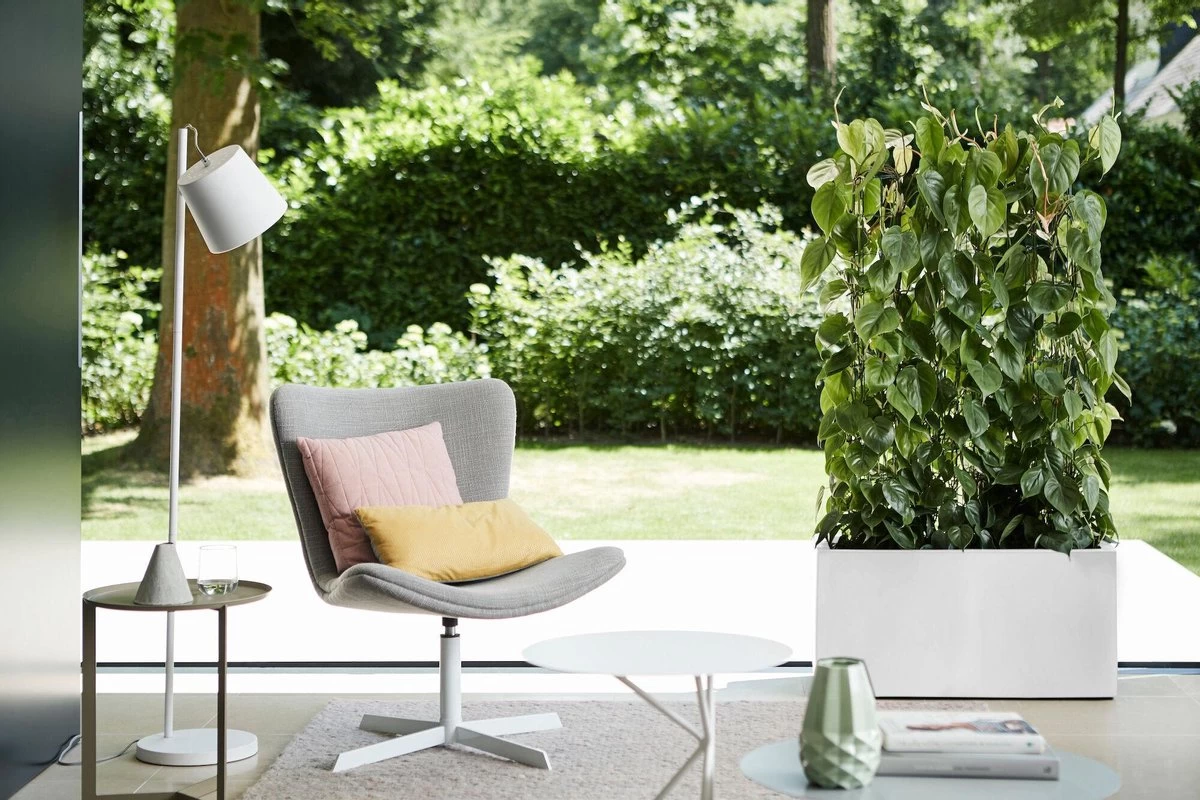 Elho Vivo Matt Finish Lang Wielen 90 - Grote Staande Plantenbak Voor Binnen & Buiten - Gemaakt Van Gereycled Plastic - L 39 X W 88 X H 41 Cm - Wit 7 Elho Vivo Matt Finish Lang Wielen 90 - Grote Staande Plantenbak Voor Binnen & Buiten - Gemaakt Van Gereycled Plastic - L 39 X W 88 X H 41 Cm - Wit - Afbeelding 5