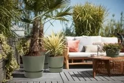 Elho Greenville Rond 30 - Grote Bloempot Voor Buiten - Gemaakt Van Gereycled Plastic - Ø 29.5 X H 27.8 Cm - Blad Groen -Tuinverzorgings Winkel 1200x801 30