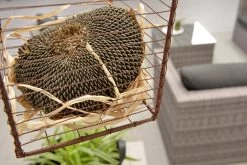 Garden Impressions Montana Loungeset - Organic Grey -Tuinverzorgings Winkel 1200x801 9