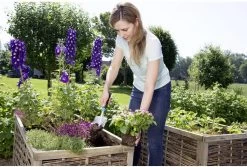 GARDENA Comfort Kleingereedschapsset Promo 8 GARDENA Comfort Kleingereedschapsset Promo -Tuinverzorgings Winkel 1200x812 2