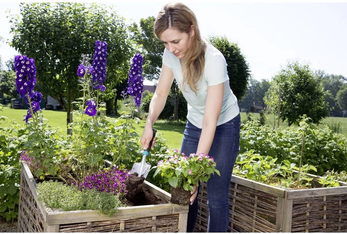 GARDENA Comfort Kleingereedschapsset Promo 4 GARDENA Comfort Kleingereedschapsset Promo - Afbeelding 2