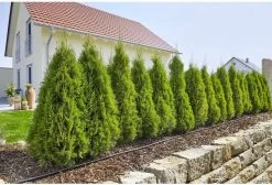 GARDENA Micro Drip System Startset L Druppelsysteem - 50 Meter 12 GARDENA Micro Drip System Startset L Druppelsysteem - 50 Meter -Tuinverzorgings Winkel 1200x814 2