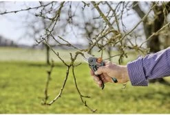 GARDENA - ExpertCut - Snoeischaar - 22 Diameter Tak 34 GARDENA - ExpertCut - Snoeischaar - 22 Diameter Tak -Tuinverzorgings Winkel 1200x815 2