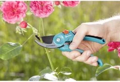 GARDENA - Classic B/S-M Bypass Snoeischaar - Ø 22mm - 25 Jaar Garantie 22 GARDENA - Classic B/S-M Bypass Snoeischaar - Ø 22mm - 25 Jaar Garantie -Tuinverzorgings Winkel 1200x820 16