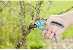 GARDENA Classic Aambeeld Snoeischaar - Ø 18 Mm 8 GARDENA Classic Aambeeld Snoeischaar - Ø 18 Mm -Tuinverzorgings Winkel 1200x825 10