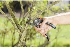 GARDENA - Comfort A/M Aambeeld - Snoeischaar - Ø 23mm 13 GARDENA - Comfort A/M Aambeeld - Snoeischaar - Ø 23mm -Tuinverzorgings Winkel 1200x825 9