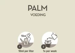Pokon Palm Voeding - 250ml - Plantenvoeding - 10ml Per 1L Water 12 Pokon Palm Voeding - 250ml - Plantenvoeding - 10ml Per 1L Water -Tuinverzorgings Winkel 1200x856 6